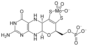 molybdenum extract